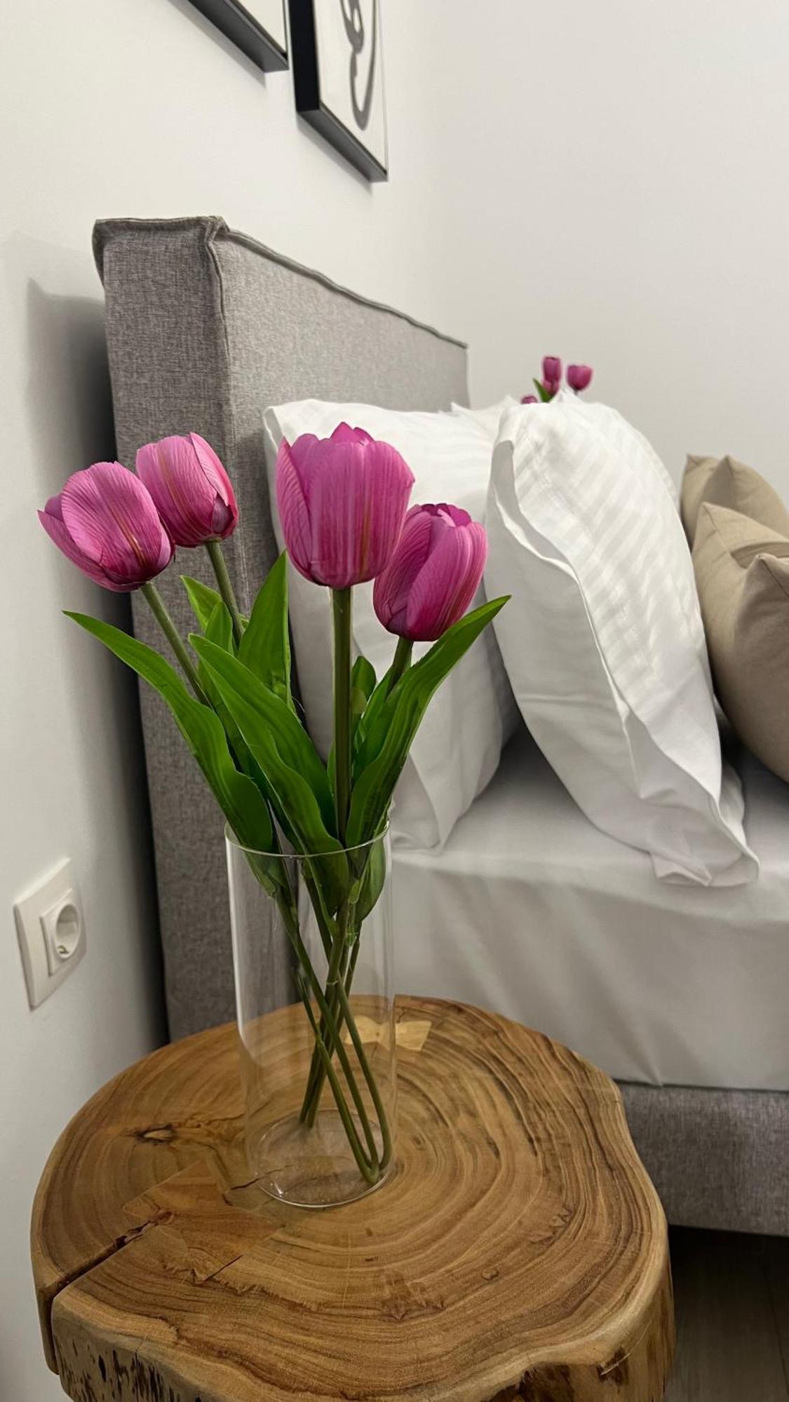 Sias Apartment Alexandroupoli